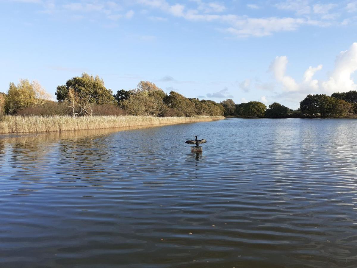 치체스터 Rookery View West Wittering 아파트 외부 사진